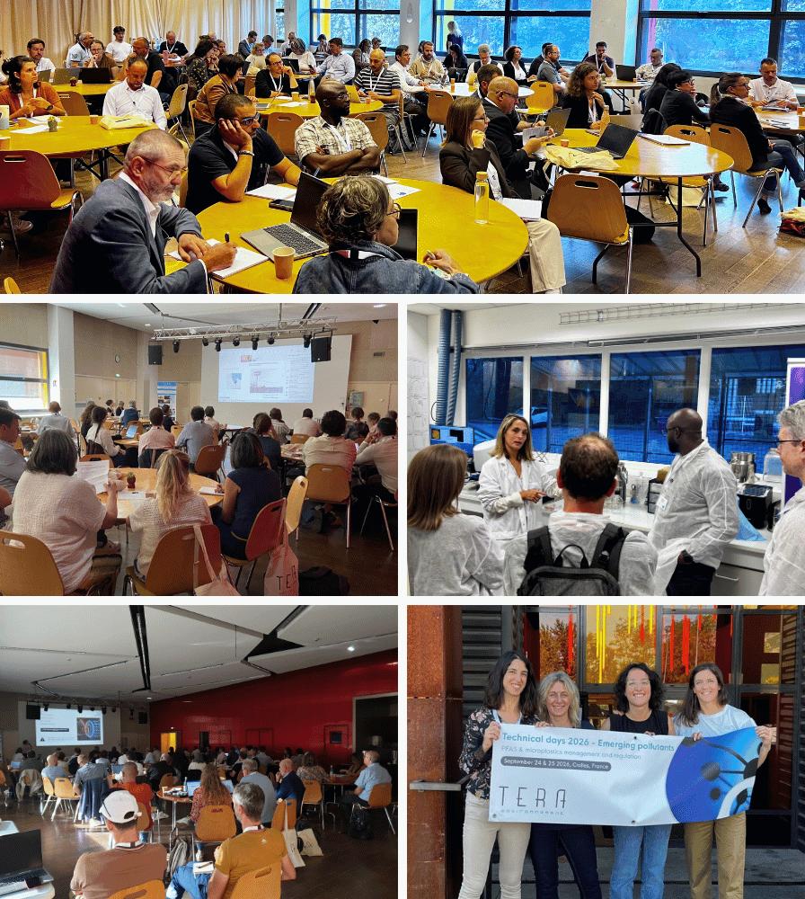 Tera conference collage